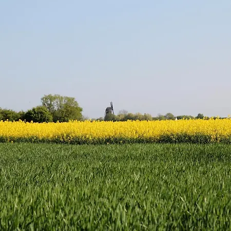 Avalon Bellevue Hotel Fehmarn