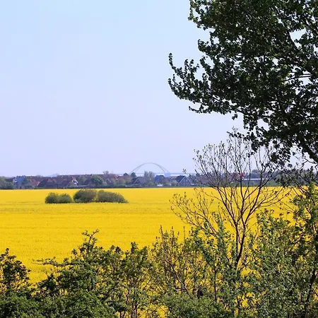 Hotel Avalon Bellevue 3*