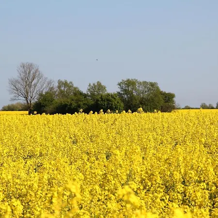 Avalon Bellevue Hotel