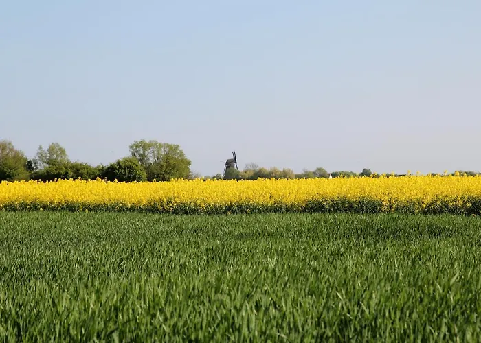 Avalon Bellevue Hotel Fehmarn