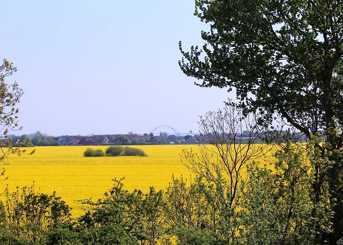 ホテル Avalon Bellevue 3*