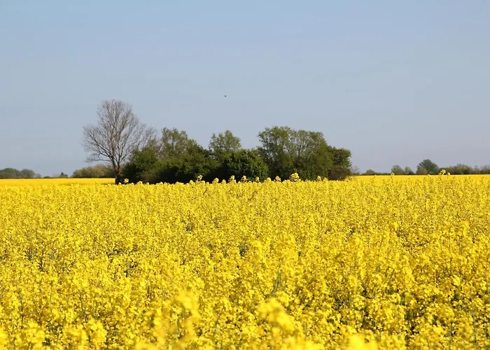 Avalon Bellevue ホテル